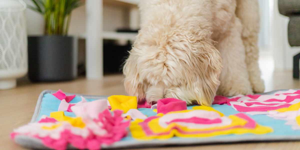 tapis de fouille pour chien